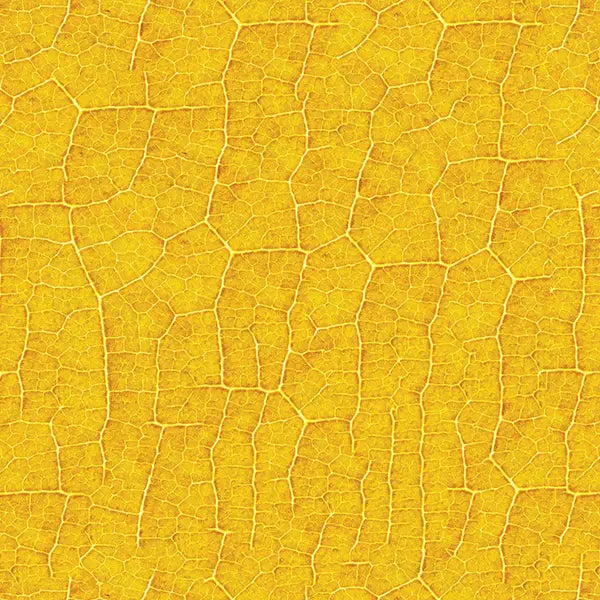 folhasdeccor_042