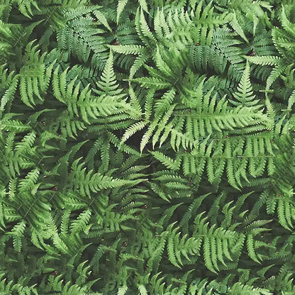 folhasdeccor_011