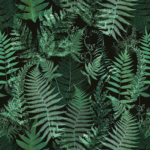 folhasdeccor_017