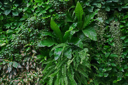 folhasdeccor_062