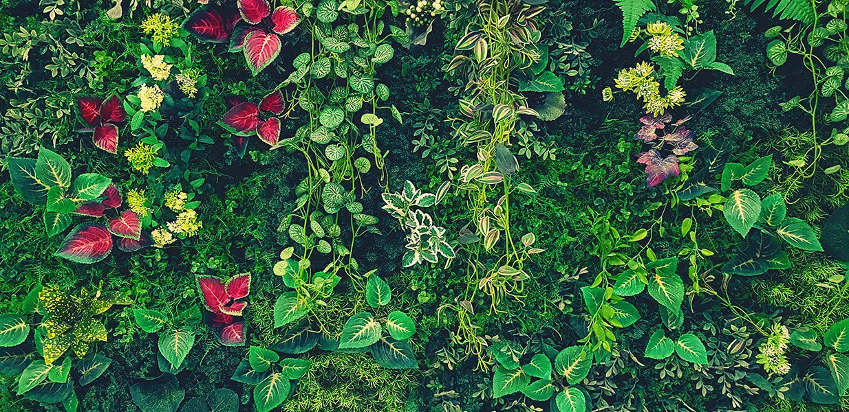 folhasdeccor_063