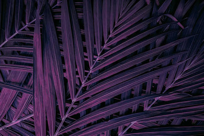 folhasdeccor_087