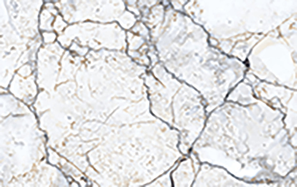 marble020