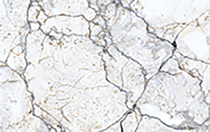 marble020